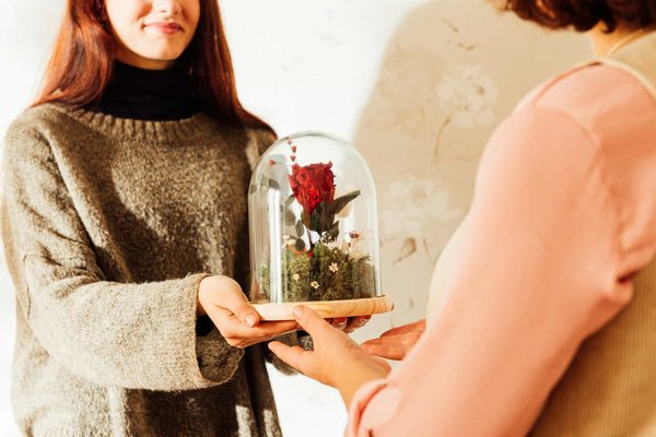 Trouvez la perfection florale : Acheter une rose éternelle sous cloche