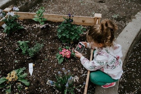 Jardin éducatif pour les enfants : comment inspirer la passion pour la nature ?